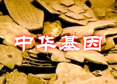 甲骨文蕴含的中华基因